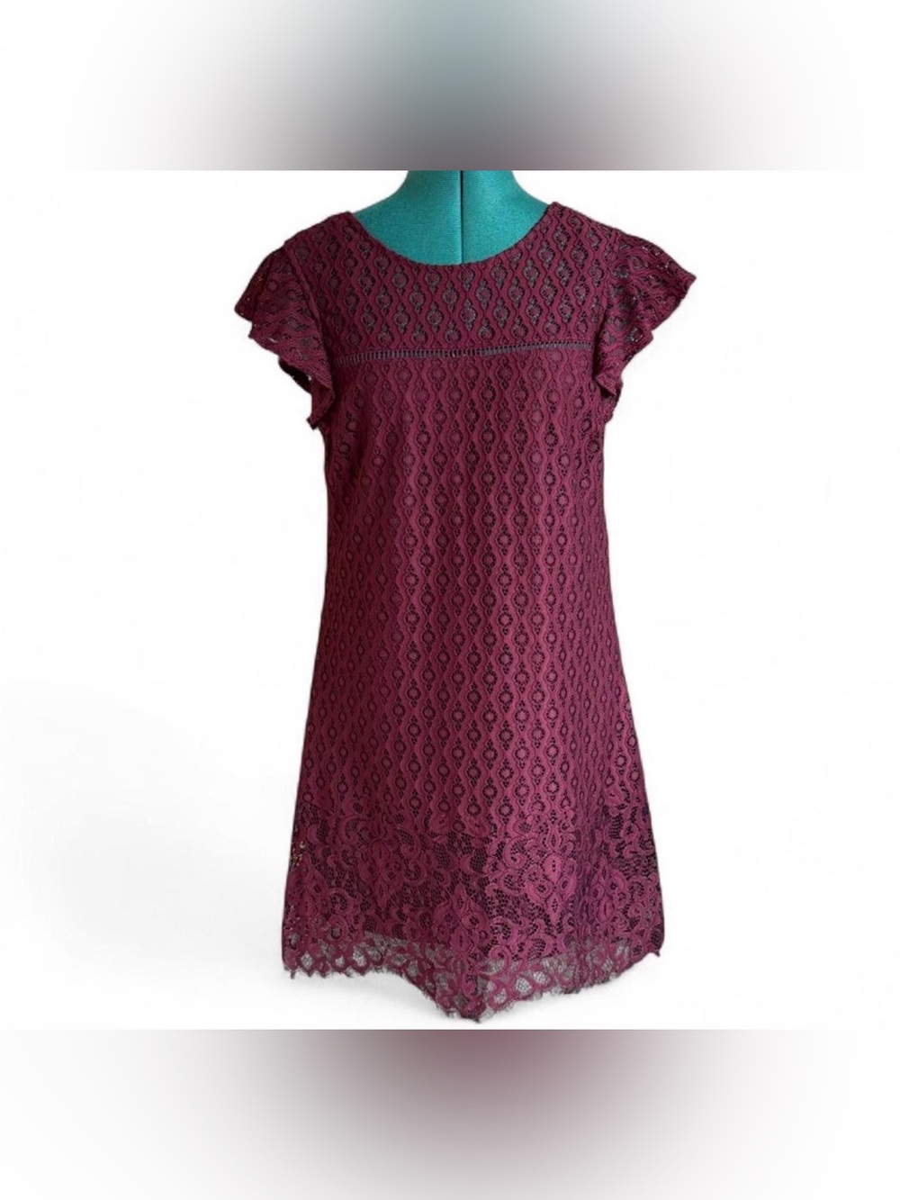 Speechless Burgundy Lace Mini Dress